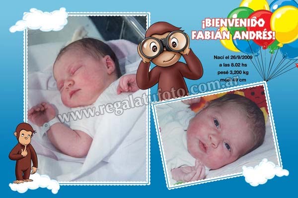 Nacimientos - NA0258 Nacimientos - NA0258 | Imagen del modelo